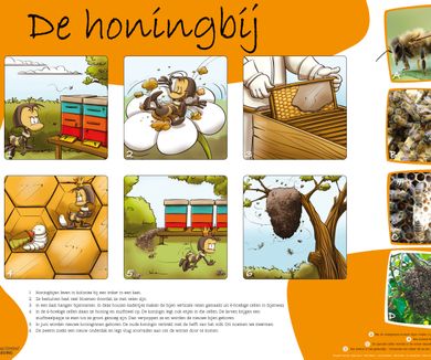De honingbij